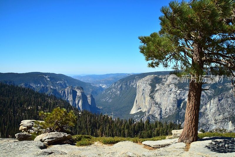 El Capitan和大教堂尖顶